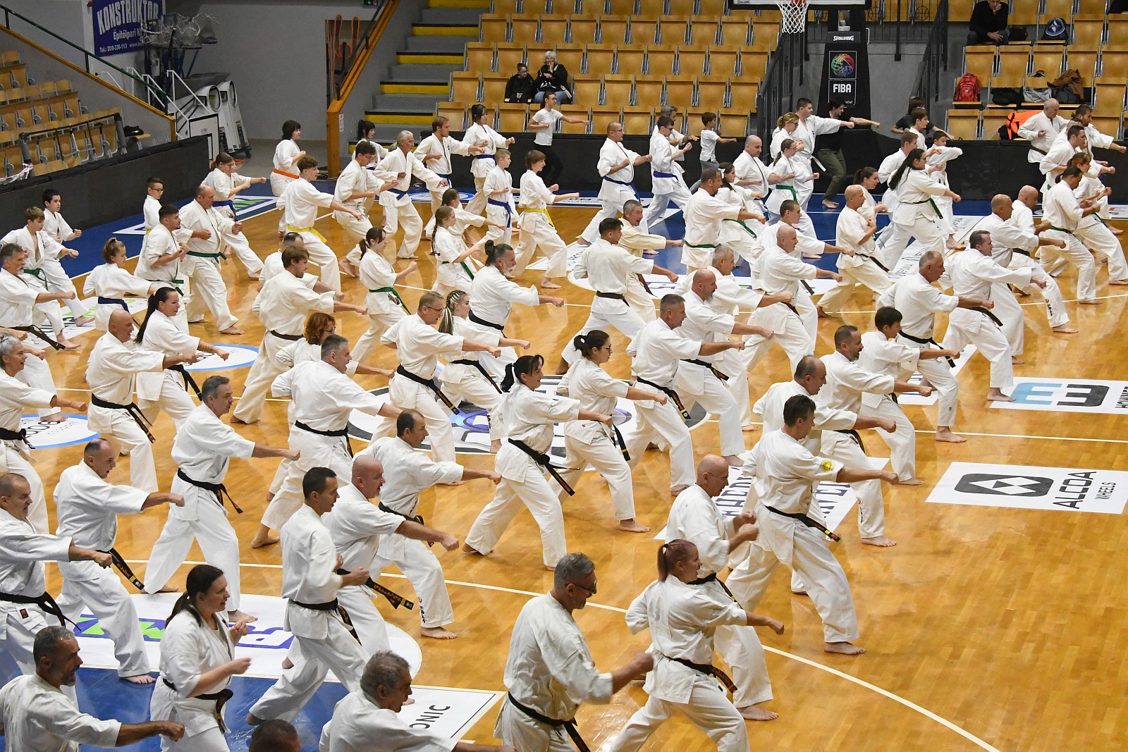 Fehérvár karate 50 - ünnep az Alba Regia Sportcsarnokban